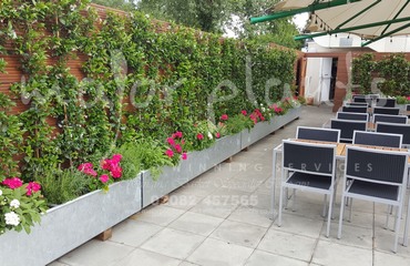 Gökyüzü Chingford_image_002