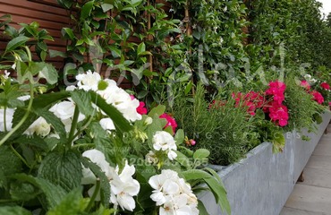 Gökyüzü Chingford_image_004