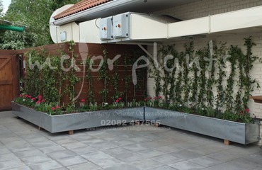 Gökyüzü Chingford_image_012