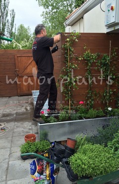 Gökyüzü Chingford_image_024
