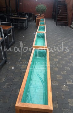 Gökyüzü Woodgreen_image_002