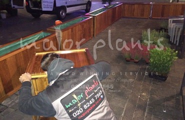 Gökyüzü Woodgreen_image_004