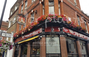 Hanging Basket Services for Pubs_image_015