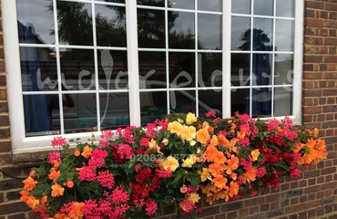 Hanging Basket Services for Pubs_image_017