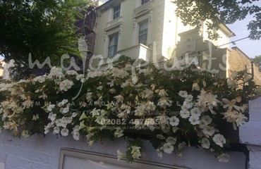 Hanging Basket Services for Pubs_image_021