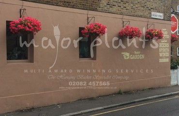 Hanging Basket Services for Pubs_image_024