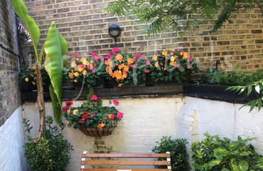Hanging Basket Services for Pubs_image_027
