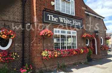 Hanging Basket Services for Pubs_image_032