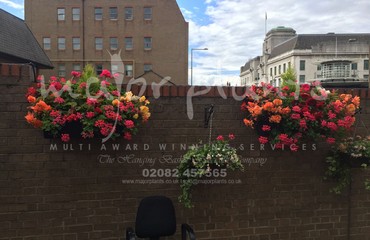Hanging Basket Services for Pubs_image_043