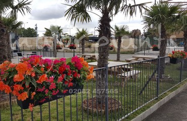 Hanging Basket Services for Pubs_image_044