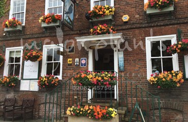 Hanging Basket Services for Pubs_image_054