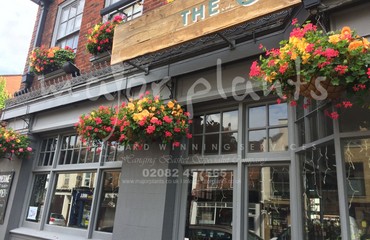 Hanging Basket Services for Pubs_image_063
