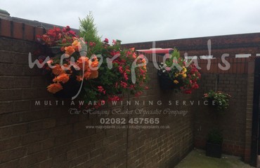 Hanging Basket Services for Pubs_image_064