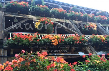 Hanging Basket Services for Pubs_image_070