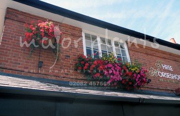 Hanging Basket Services for Pubs_image_086