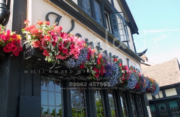 Hanging Basket Services for Pubs_image_087