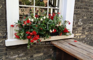 Hanging Basket Services for Pubs_image_099