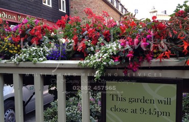 Hanging Basket Services for Pubs_image_102