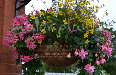 Hanging Basket Services for Pubs_image_105