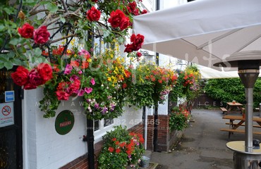 Hanging Basket Services for Pubs_image_113