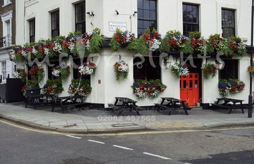 Hanging Basket Services for Pubs_image_124