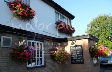 Hanging Basket Services for Pubs_image_134