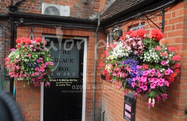 Hanging Basket Services for Pubs_image_145
