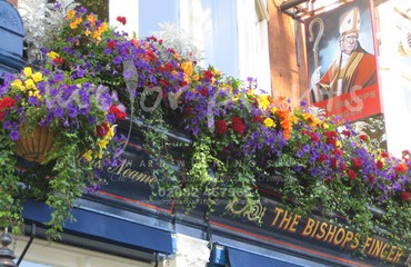 Hanging Basket Services for Pubs_image_156