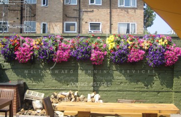 Hanging Basket Services for Pubs_image_158