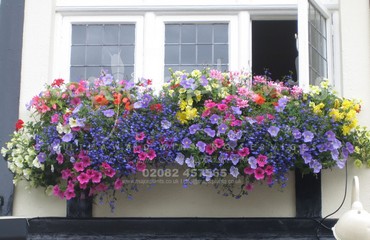Hanging Basket Services for Pubs_image_165