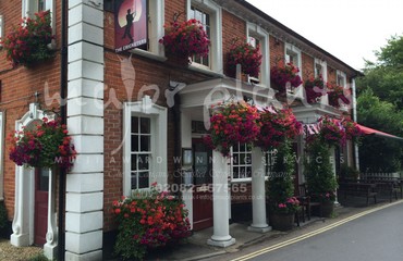 Hanging Basket Services for Pubs_image_181