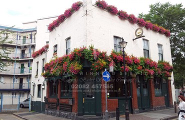 Hanging Basket Services for Pubs_image_185