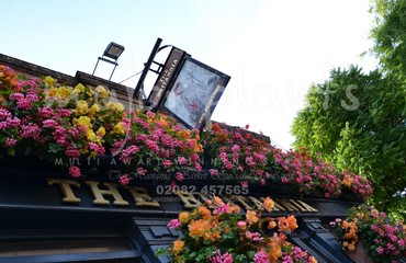Hanging Basket Services for Pubs_image_189