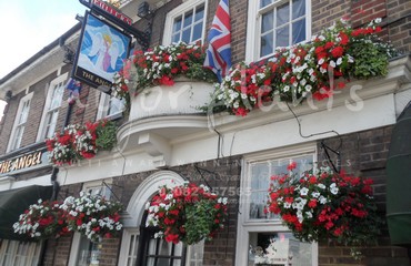 Hanging Basket Services for Pubs_image_193