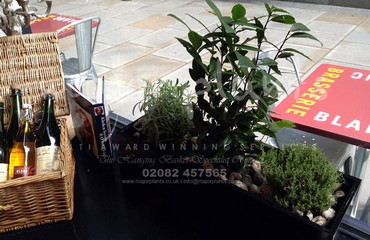 Herb Display for Restaurants and Bistros_image_010