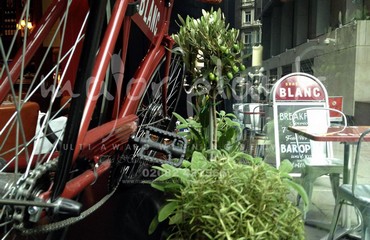 Herb Display for Restaurants and Bistros_image_011