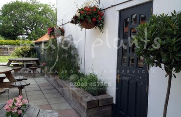 Herb Display for Restaurants and Bistros_image_013