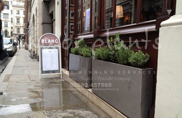 Herb Display for Restaurants and Bistros_image_023