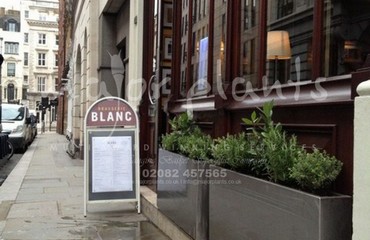 Herb Display for Restaurants and Bistros_image_026