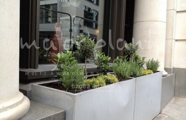 Herb Display for Restaurants and Bistros_image_031
