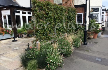 Pots and Troughs_image_028