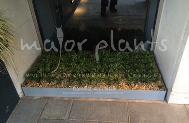 Pots and Troughs_image_059
