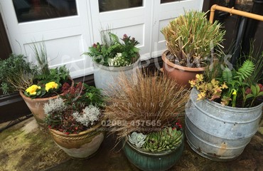 Pots and Troughs_image_063
