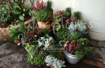 Pots and Troughs_image_074