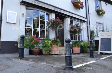 Pots and Troughs_image_089