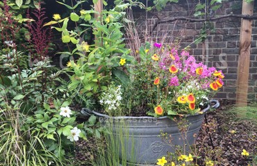 Pots and Troughs_image_125