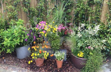 Pots and Troughs_image_126