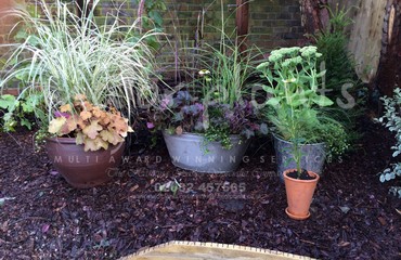 Pots and Troughs_image_153