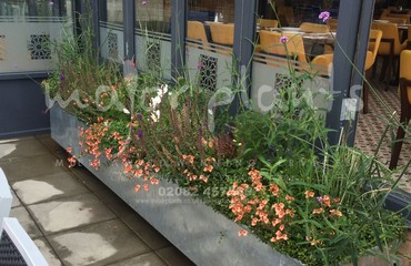 Pots and Troughs_image_161