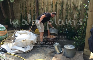 WBC British Queen_image_022
